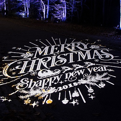 WEB IMG 7481 : Berlin, Botanischer Garten, Christmas Garden