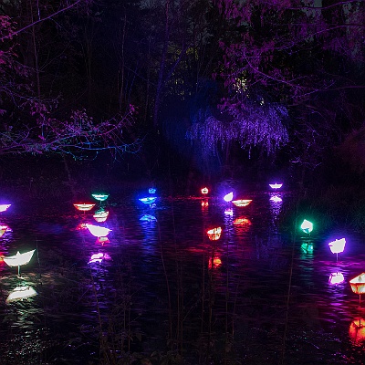 WEB IMG 7519 : Berlin, Botanischer Garten, Christmas Garden