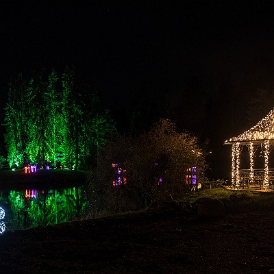 WEB IMG 7536 : Berlin, Botanischer Garten, Christmas Garden