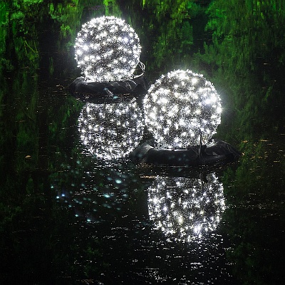 WEB IMG 7539 : Berlin, Botanischer Garten, Christmas Garden