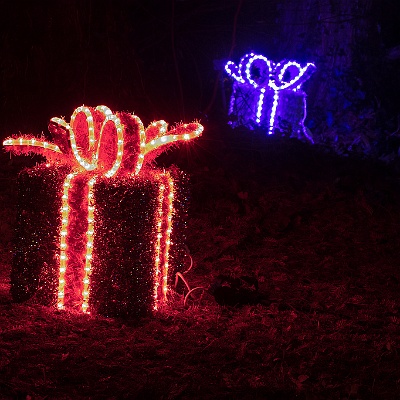 WEB IMG 7556 : Berlin, Botanischer Garten, Christmas Garden