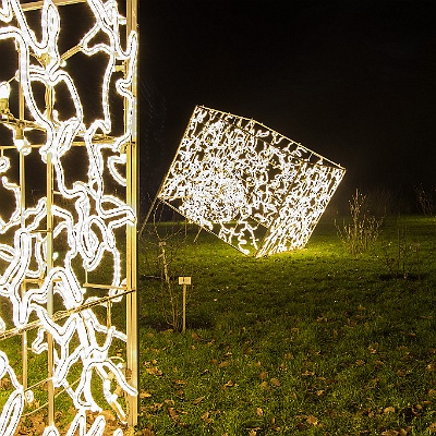 WEB IMG 7576 : Berlin, Botanischer Garten, Christmas Garden