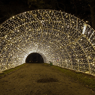 WEB IMG 7580 : Berlin, Botanischer Garten, Christmas Garden