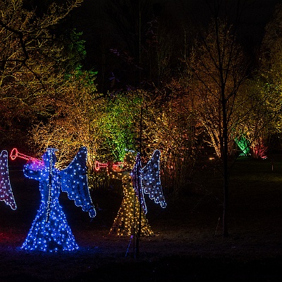 WEB IMG 7586 : Berlin, Botanischer Garten, Christmas Garden