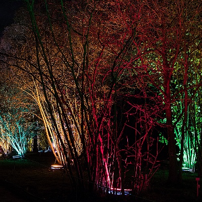 WEB IMG 7593 : Berlin, Botanischer Garten, Christmas Garden