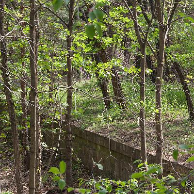 IMG 4582-LRmax WZ : Abandoned, Friedhofsbahn, Lost Place