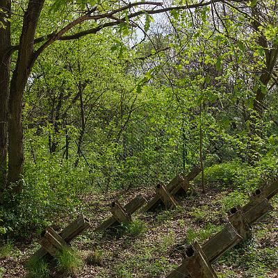 IMG 4595-LRmax WZ : Abandoned, Friedhofsbahn, Lost Place