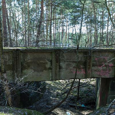 IMG 8658-LRmax WZ : Abandoned, Friedhofsbahn, Lost Place