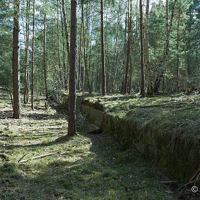 IMG 8663-LRmax WZ : Abandoned, Friedhofsbahn, Lost Place
