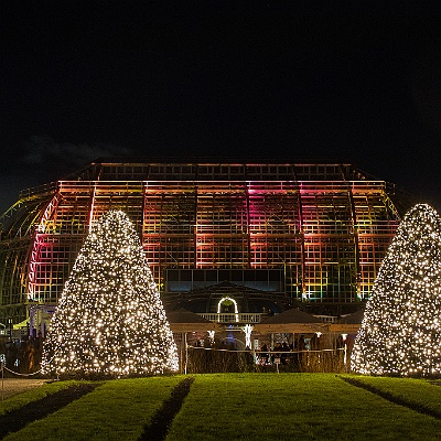 WEB IMG 7509 : Berlin, Botanischer Garten, Christmas Garden