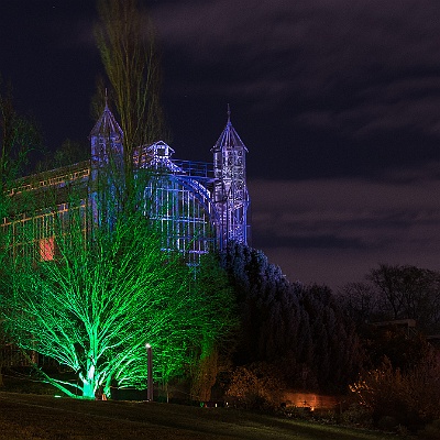 WEB IMG 7514 : Berlin, Botanischer Garten, Christmas Garden