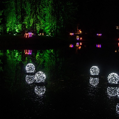 WEB IMG 7540 : Berlin, Botanischer Garten, Christmas Garden
