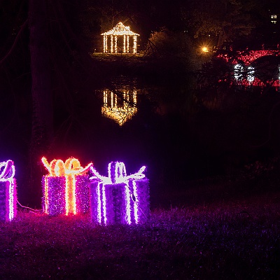 WEB IMG 7567 : Berlin, Botanischer Garten, Christmas Garden