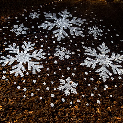 WEB IMG 7577 : Berlin, Botanischer Garten, Christmas Garden