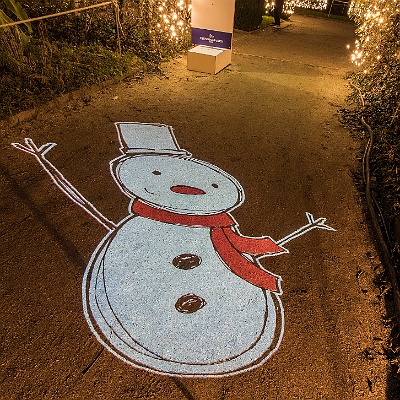 WEB IMG 7611 : Berlin, Botanischer Garten, Christmas Garden