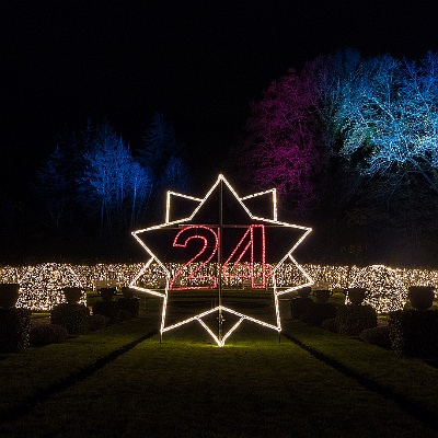 WEB IMG 7613 : Berlin, Botanischer Garten, Christmas Garden