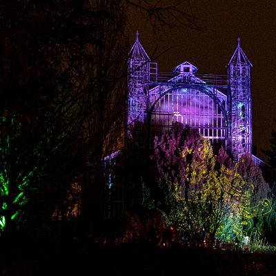 Christmas Garden 2019