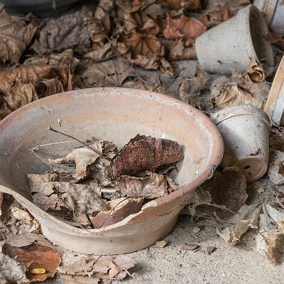 IMG 9381 CR2-LR : Friedhof, Lost Place, Trauerhalle