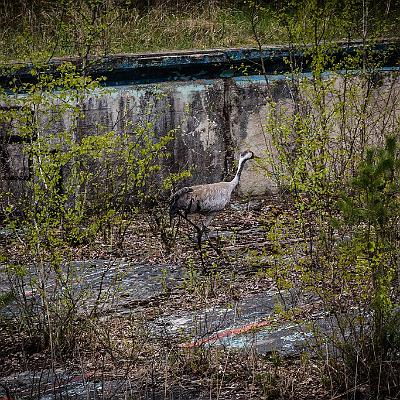 GSSD Standort  : Flugplatz, GSSD, Kaserne