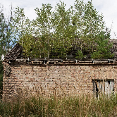die Natur siegt : GSSD, Lost Place
