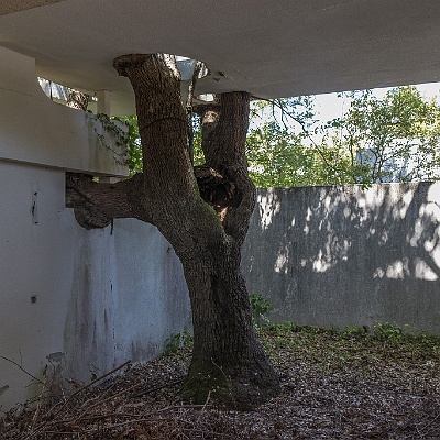 WEB IMG 3699 : Halodovo, Hotel, Kroatien, Lost Place