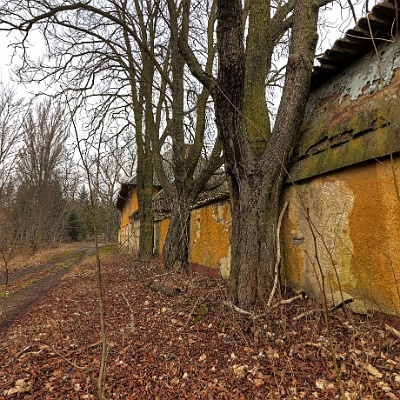 Baum gegen Mauer : GSSD, Kaserne, Schießschule
