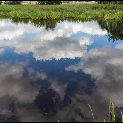 Wolkenspiegel am See : Sommer, Spiegelung, See