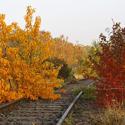 alte Bahnanlage : Herbst, bunte Blätter
