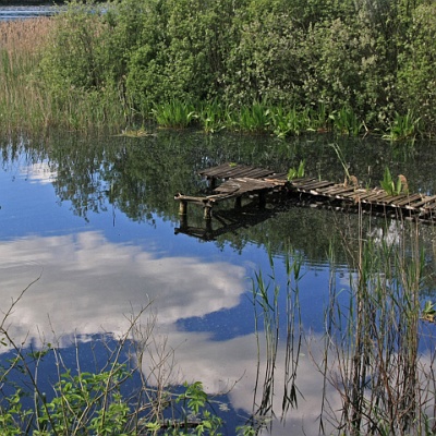 am See : Sommer, Spiegelung, See