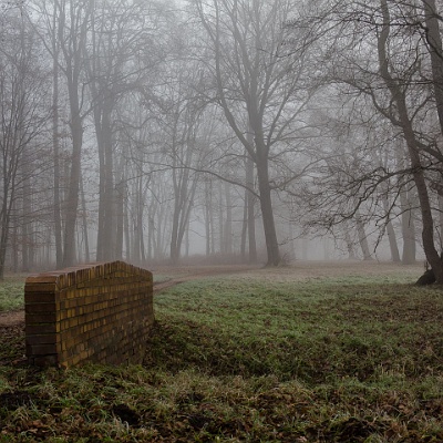 im Park : Herbst, Nebel, Park