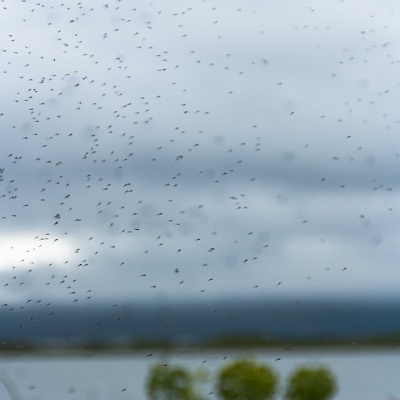 ... der Name ist berechtigt