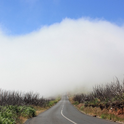 Strasse in die Wolken... : Madeira