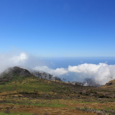 ... und dann über den Wolken : Madeira