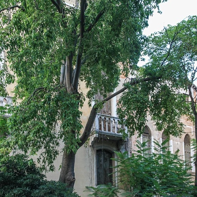 Palazzo Donà Giovannelli, steht schon lange leer : Italien, Venedig