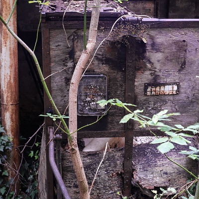 eingewachsen : Beschläge, Fabrik, Lost Place