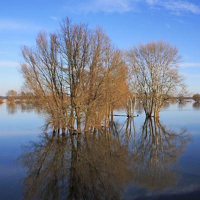 Hochwasser an der Oder : Herbst, Oder