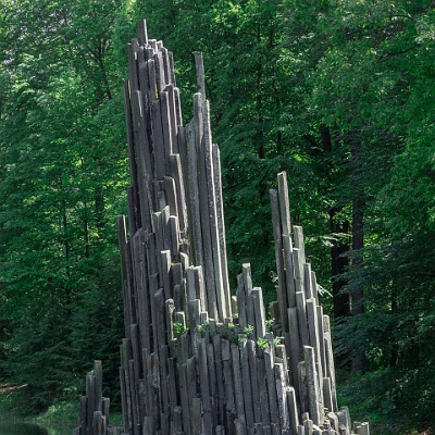 WEB  MG 2792 : Rhododendronpark Kromlau