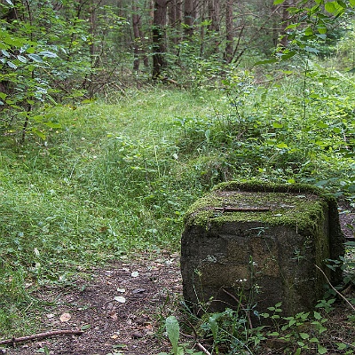 WEB IMG 2671 : Carinhall, Lost Place